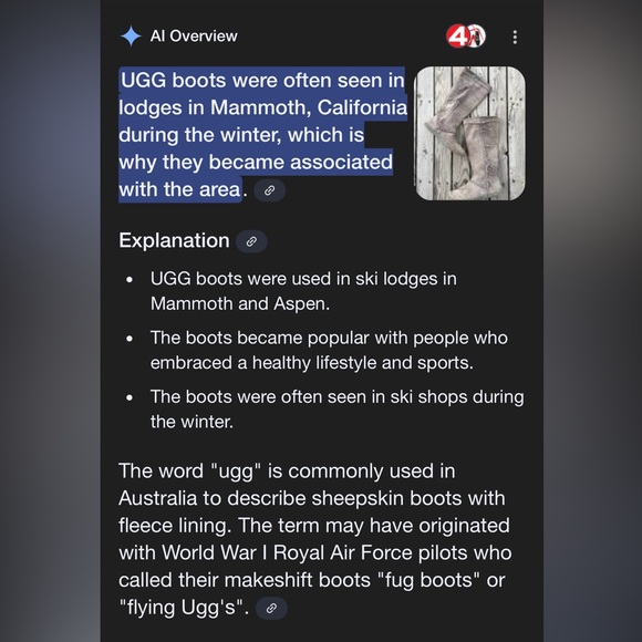 Ugg Australia Mammoth Suede Fringe Boots, EUC - Picture 10 of 10